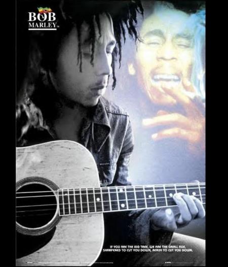 The king of reggae